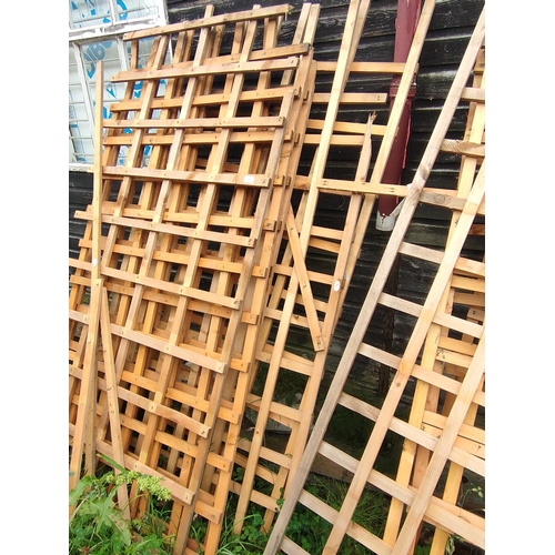 37 - Collection of trellis