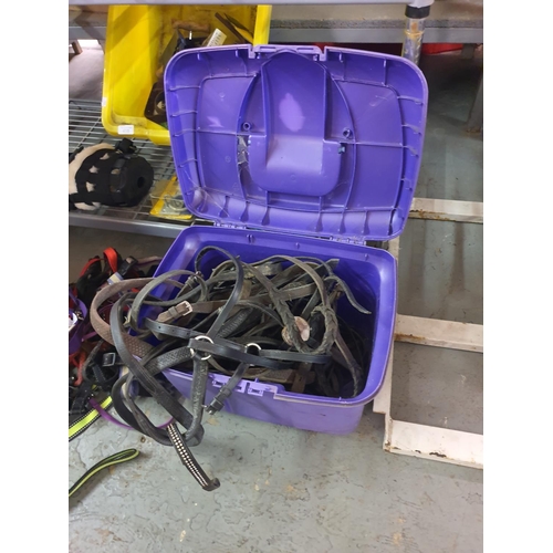 431 - PURPLE BOX OF LEATHER HORSE TACK