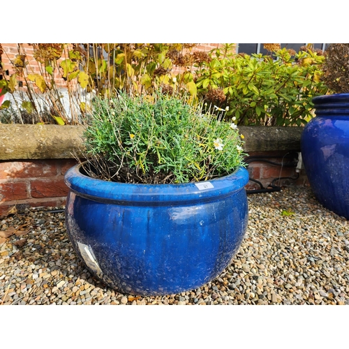 27 - plant in large blue glazed stoneware planter excellent condition