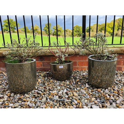 58 - Three quality metallic plant pots with shrubs