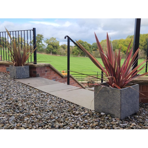 62 - Pair of beautiful square planters with  large red plants