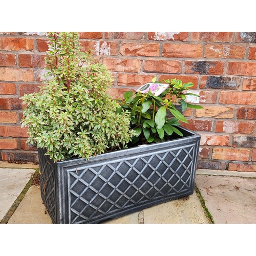 75 - Lazio Lead Effect Trough Planter with plants