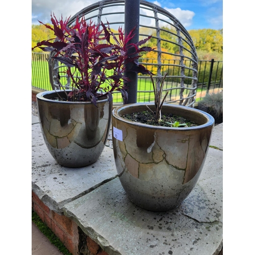 80 - Pair of metallic pretty plant pots with plants