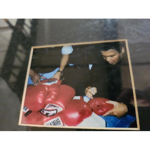 1263 - Muhammad Ali signed boxing glove with certificate presented in case with Photograph and certificate ... 