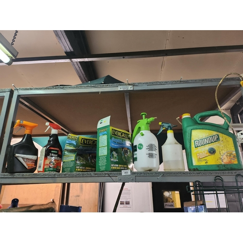 453 - Collection of garden weed killers and bottles