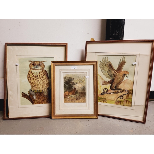 720 - Collection of 3 framed prints