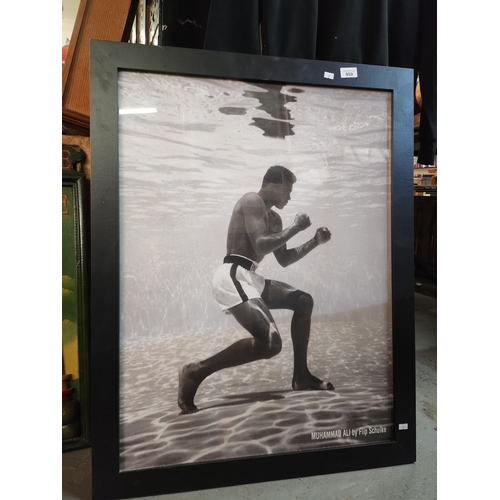 959 - Large framed muhammed Ali poster
