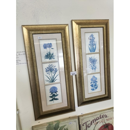 1671 - Pair of framed floral prints