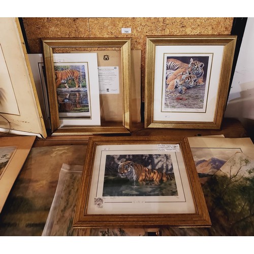 705 - 3 x framed Tiger Stephen Gayford limited edition prints