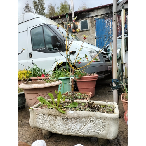 48A - Beautiful cherub aged stone planter on legs with plant