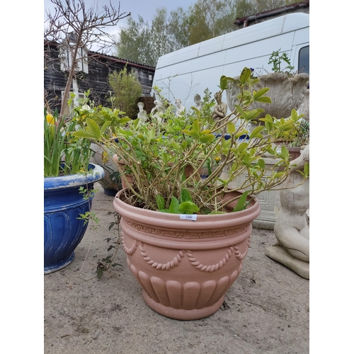 100 - Out door planter with shrub