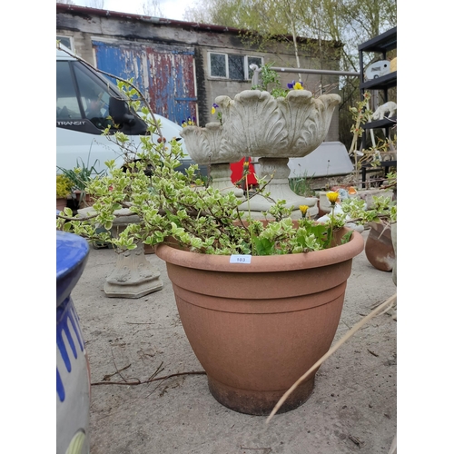 103 - Out door planter with shrub