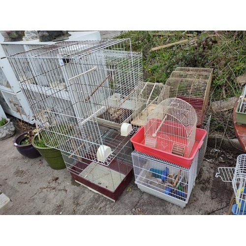 164 - Very large collection of bird cages , all shapes and sizes.