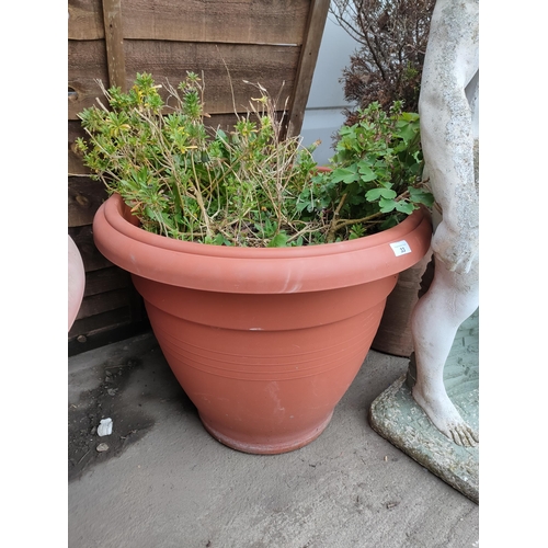 33 - Large planter with shrubs 22