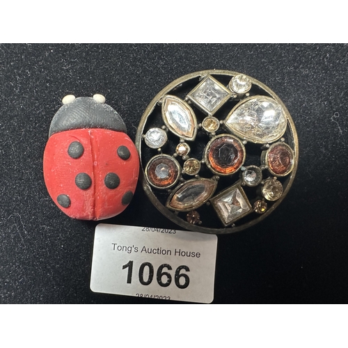 1066 - Beautiful large multi coloured stone brooch and Lady Bird brooch