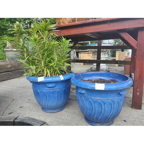 32 - Pair of blue Greek style planters with plants