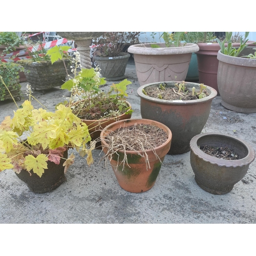 6 - 5 plant pots