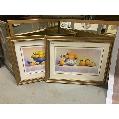 1123 - Pair of Guilt frames