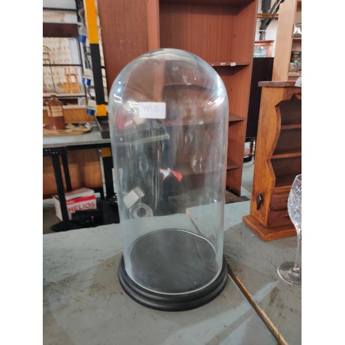 999B - Large/medium Glass dome cloche on wooden base. 44 cm high x 20 cm wide.