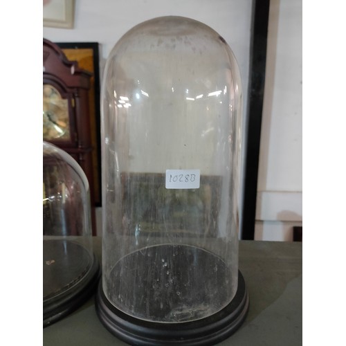 1028B - glass dome cloche