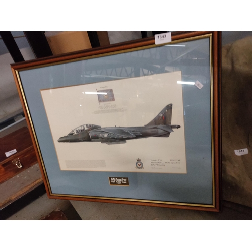 1843 - Nice framed picture of a harrier jump jet from 20 sqn