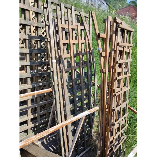 25 - 3 X TRELLIS PANELS 6FT X 2FT