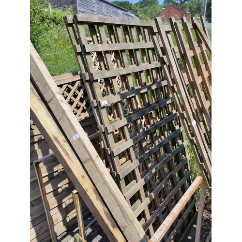 28 - 2 PIECES OF TRELLIS 6FT X 3FT