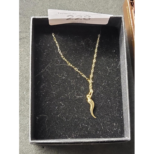 228 - Gorgeous 9ct (375) yellow gold necklace with Horn of Life Pendant