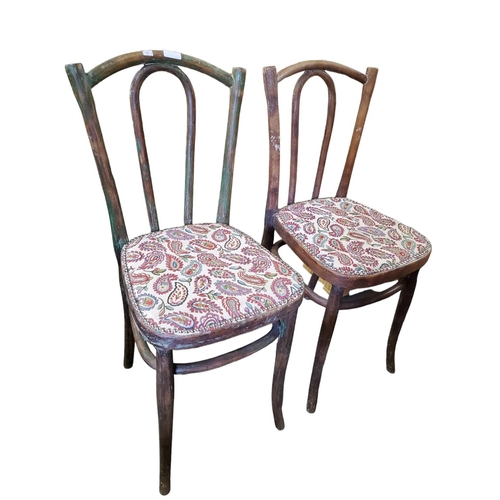 379 - A pair of bentwood chairs with beautiful patina. Upholstered seat with cushioned paisley fabric givi... 