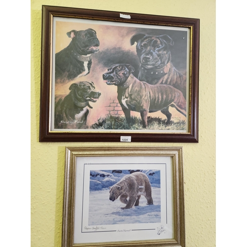 1224 - 2 lovely large framed and glazed animal prints. One of dogs and the other of a Polar Bear