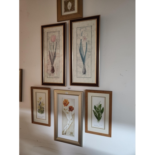 1277 - Beautiful and varied selection of framed and glazed floral prints