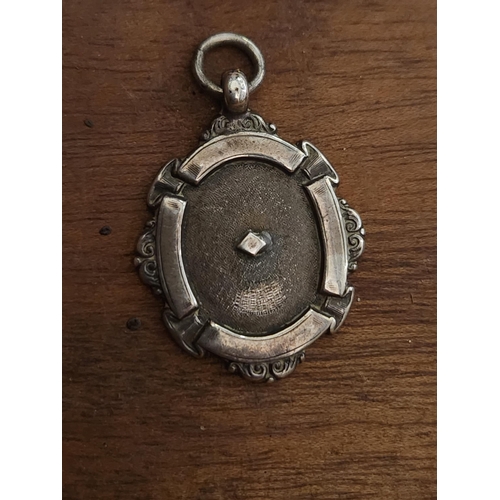 301 - Sterling silver pendant