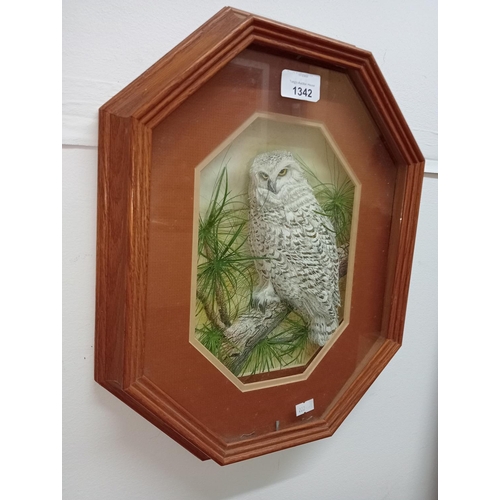 1342 - BEAUTIFUL 3D TOLE PAPER PICTURE OF WHITE OWL IN A WOODEN BOX FRAME.
APPROX 40 X 30 CM