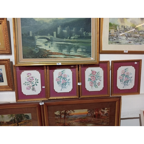 192 - Four lovely framed and glazed floral prints