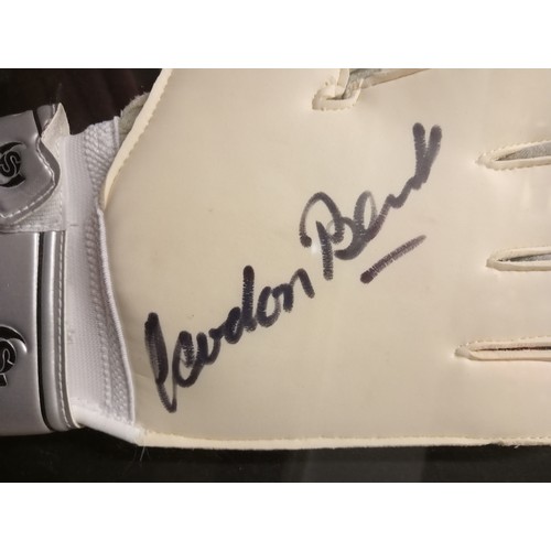 1351 - Framed GORDON BANKS, WORLD CUP 1966 WINNER SIGNED GOALKEEPER GLOVE.
AMAZING LOT.