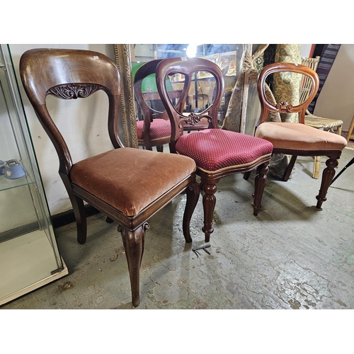 20 - Mahogany Victorian balloon back upholstered chairs