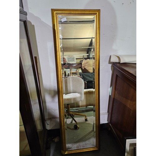 2163 - GOLD COLOUR LONG FULL LENGTH MIRROR 15