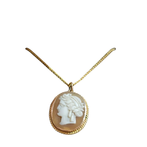 185 - Stunning 9ct gold necklace with 9ct gold cameo pendant