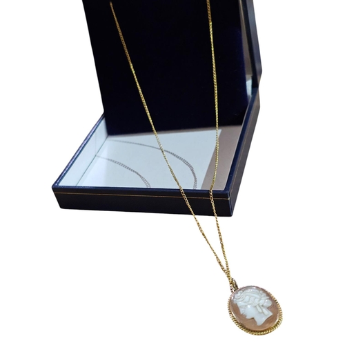 185 - Stunning 9ct gold necklace with 9ct gold cameo pendant