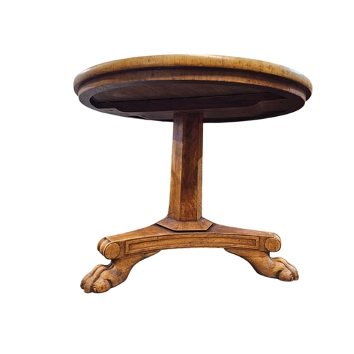 480 - GEORGE IV FIGURED FIELD-MAPLE CENTRE TABLE stunning quality 65cm across 50cm in height