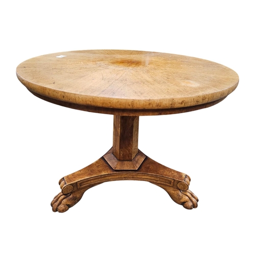 480 - GEORGE IV FIGURED FIELD-MAPLE CENTRE TABLE stunning quality 65cm across 50cm in height