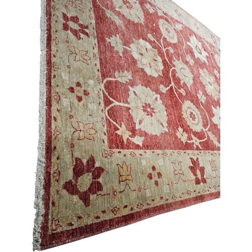 751 - Chobi Peshawar Oriental Hand-knotted Wool Traditional Accent Rug 6 x 9ft