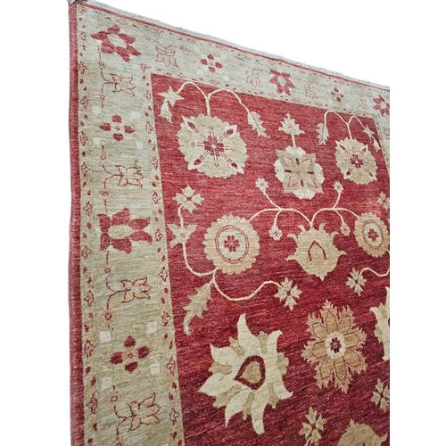 751 - Chobi Peshawar Oriental Hand-knotted Wool Traditional Accent Rug 6 x 9ft