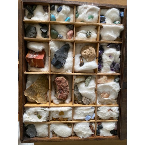 14 - Collection of rocks and minerals in compartmentalized box