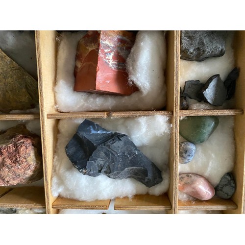 14 - Collection of rocks and minerals in compartmentalized box