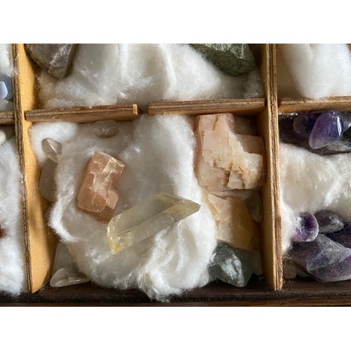 14 - Collection of rocks and minerals in compartmentalized box