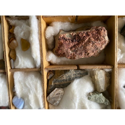 14 - Collection of rocks and minerals in compartmentalized box
