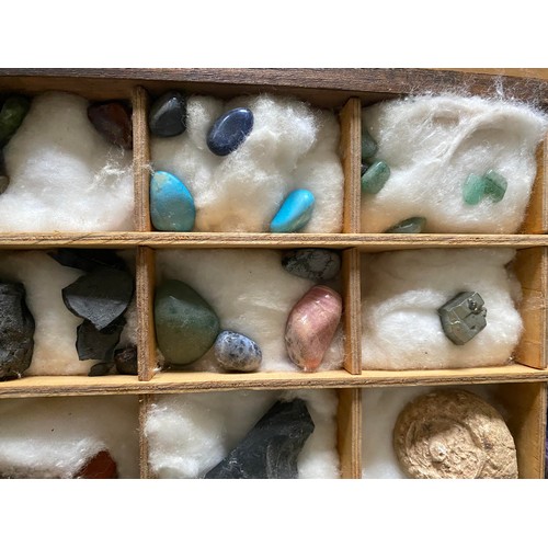 14 - Collection of rocks and minerals in compartmentalized box