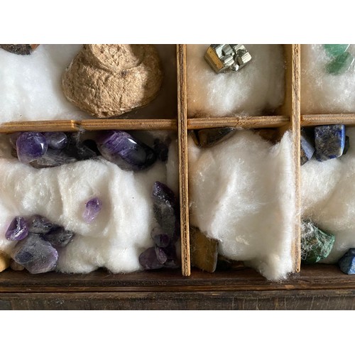 14 - Collection of rocks and minerals in compartmentalized box