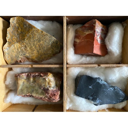 14 - Collection of rocks and minerals in compartmentalized box